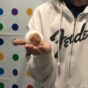 Meet your Posher, Jack